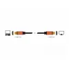 HDMI-kaabel DeLOCK 85729 2 m HDMI Type A Standard Must Kuldne