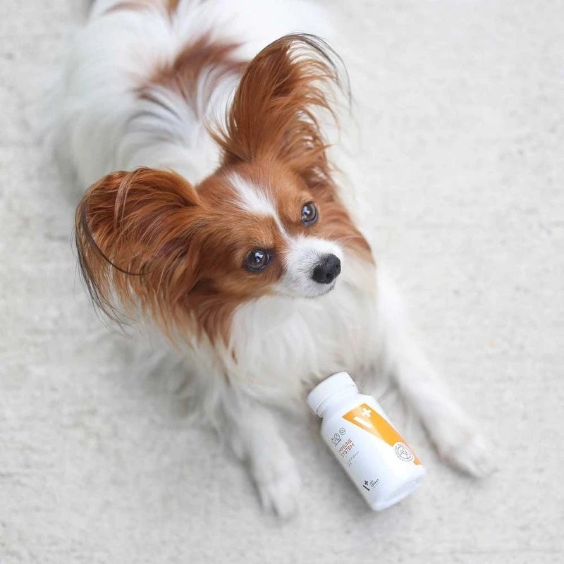 VET EXPERT Immune System - immuunsust toetav preparaat koertele ja kassidele - 30 kapslit