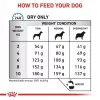 Kuiv koeratoit Royal Canin Anallergenic Small 1.5 kg — hüpoallergeenne täiskasvanute retsept väikest tõugudele