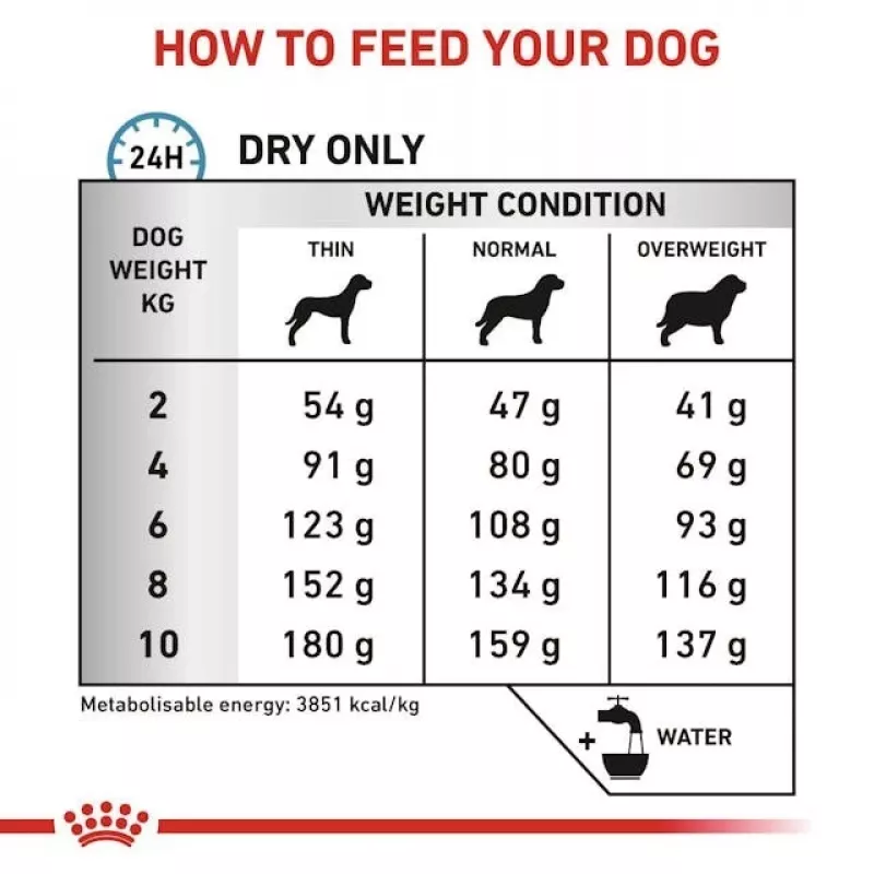 Kuiv koeratoit Royal Canin Anallergenic Small 1.5 kg — hüpoallergeenne täiskasvanute retsept väikest tõugudele