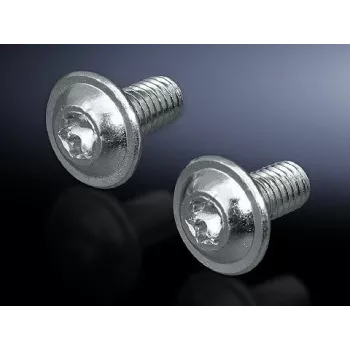 Kruvi Rittal SZ 2504.500 M6, 12 mm pikkus, metalliline viimistlus, pakis 300 tk