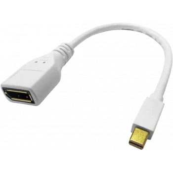 ROLINE - DisplayPort-adapter - Mini DisplayPort (M) DisplayPortiks (W) - Must (12.03.3163)