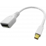 ROLINE - DisplayPort-adapter - Mini DisplayPort (M) DisplayPortiks (W) - Must (12.03.3163)