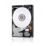 Lenovo 00NA272 1,8 TB 10K 12Gbps SAS 2,5" kuumvahetatav kõvaketas (Gen3)