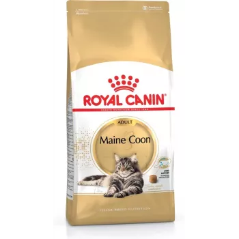 Kuiv kassitoit Royal Canin Maine Coon Adult 4 kg — kana, 31% valku, 20% rasva