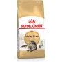 Royal Canin FBN Maine Coon Adult kuiv kassitoit, 4 kg