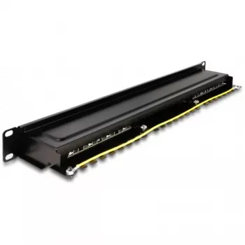 DeLOCK 66876 patch paneel 1U Cat6a must metall