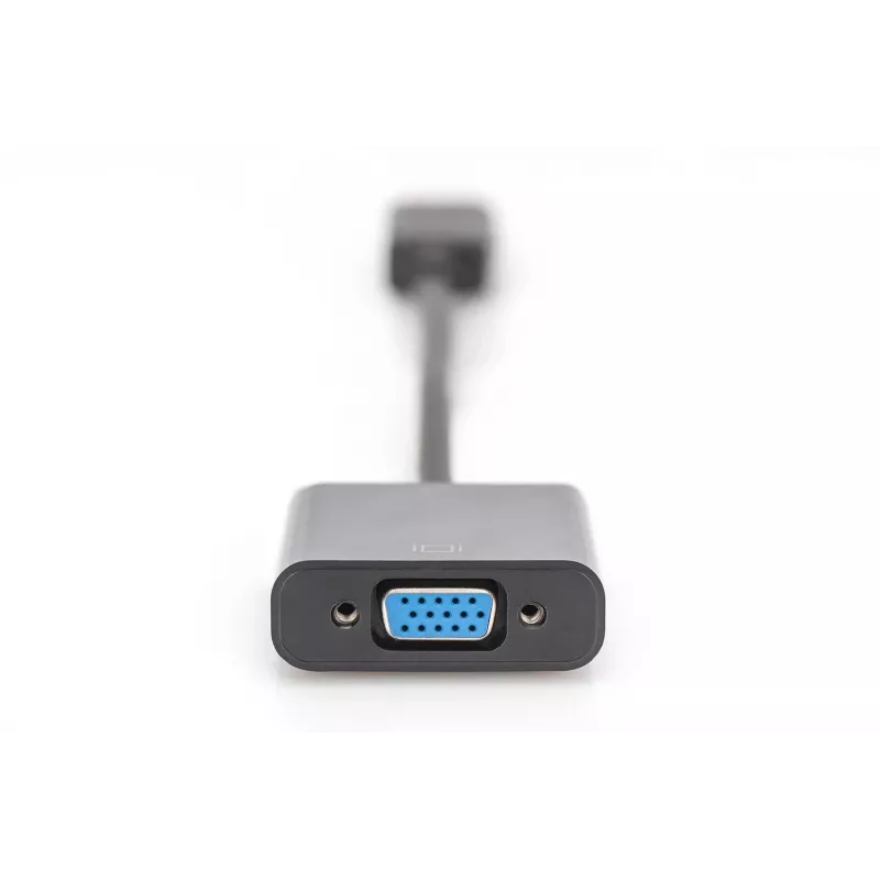 Digitus DisplayPorti adapter/konverter
