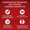 PURINA ONE MED/MAX Junior Kana ja riis 7kg