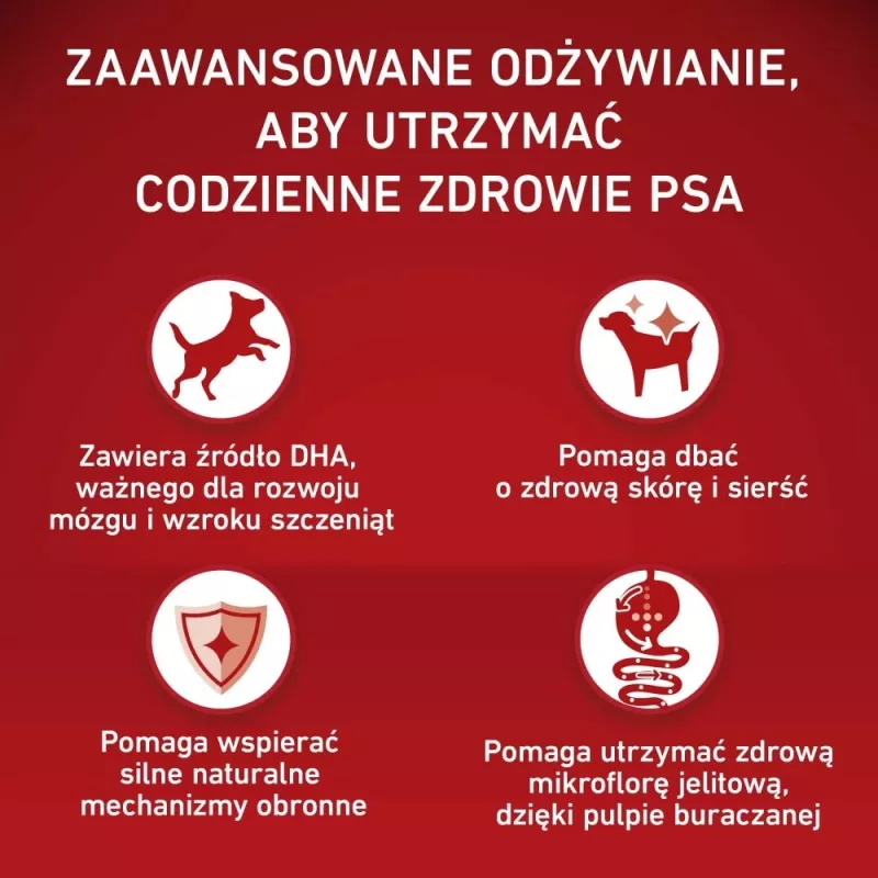 PURINA ONE MED/MAX Junior Kana ja riis 7kg