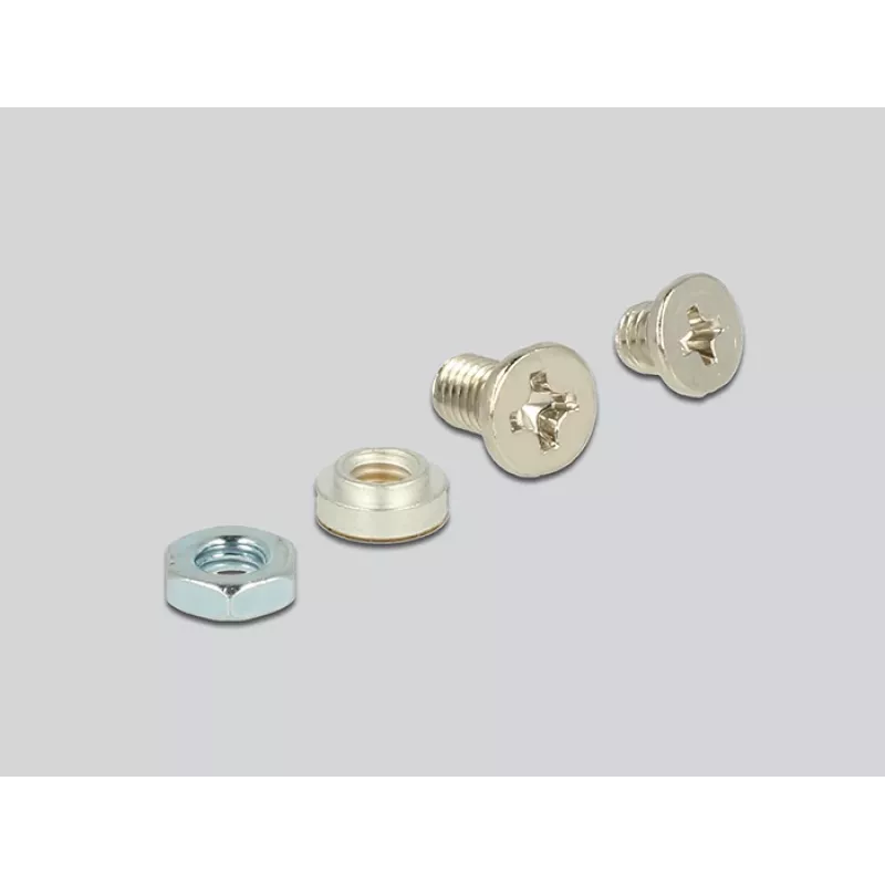 Sisemine M.2 adapter DeLOCK 62865