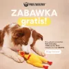 Paka Zwierzaka Kana Koeramänguasi