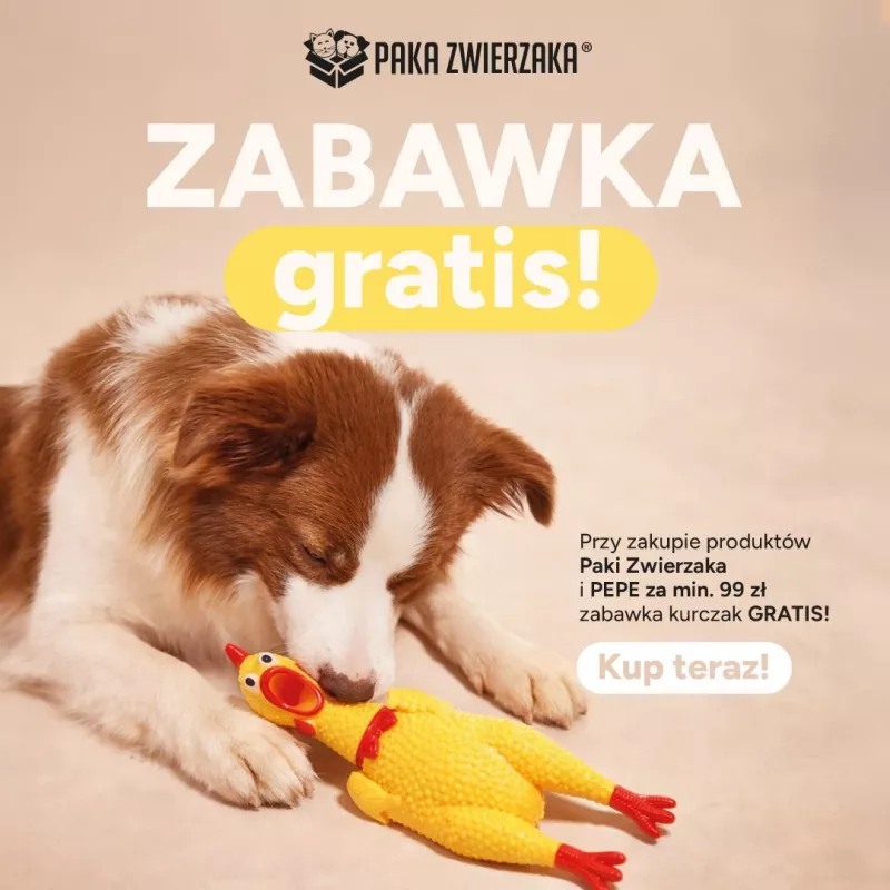 Paka Zwierzaka Kana Koeramänguasi