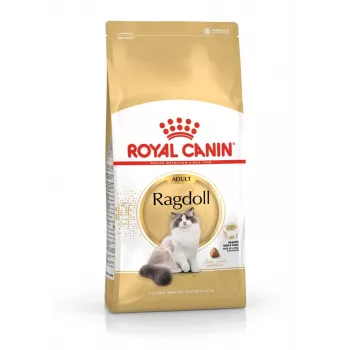 Royal Canin FBN Ragdoll Adult kuivtoit kassidele, 2 kg
