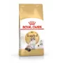 Kuiv kassitoit Royal Canin Ragdoll Adult 2 kg — kana, 32% valku, 18% rasva