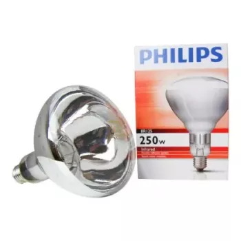 Philips 60800122044 hõõglamp 250 W
