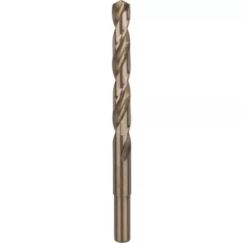 Bosch 2608585901 puuritera