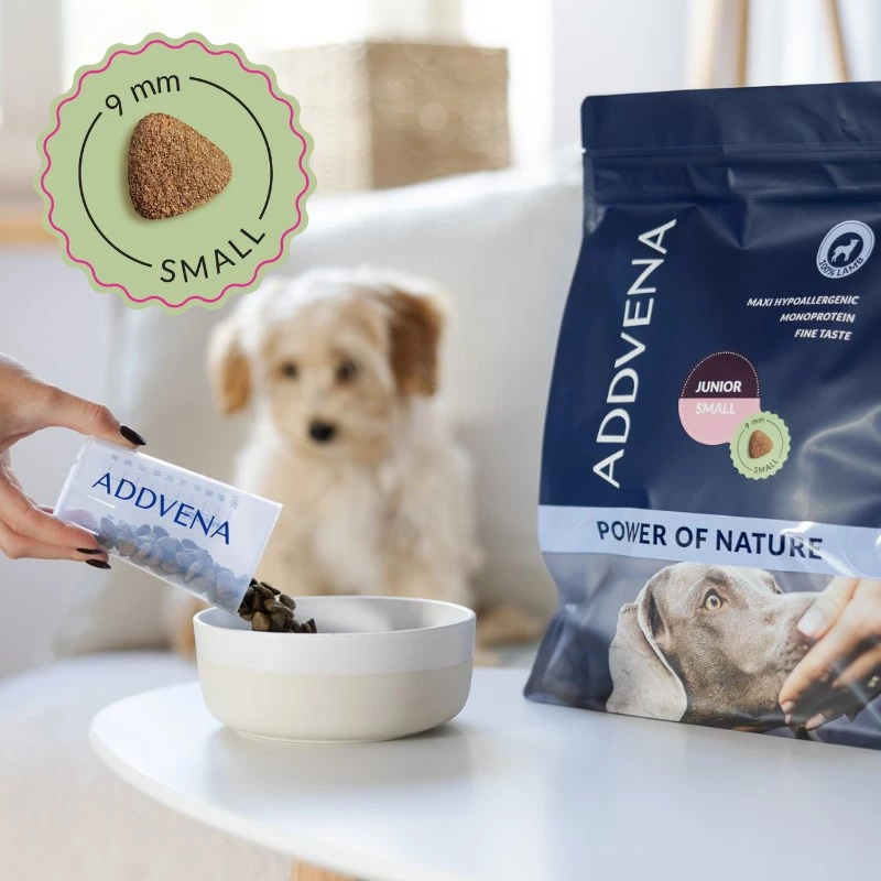 ADDVENA Power of Nature Junior Small Lamb - kuiv koeratoit - 10kg