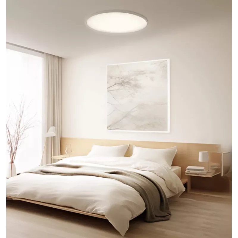 Intelligent Xiaomi Ceiling Light D30 WiFi 30W