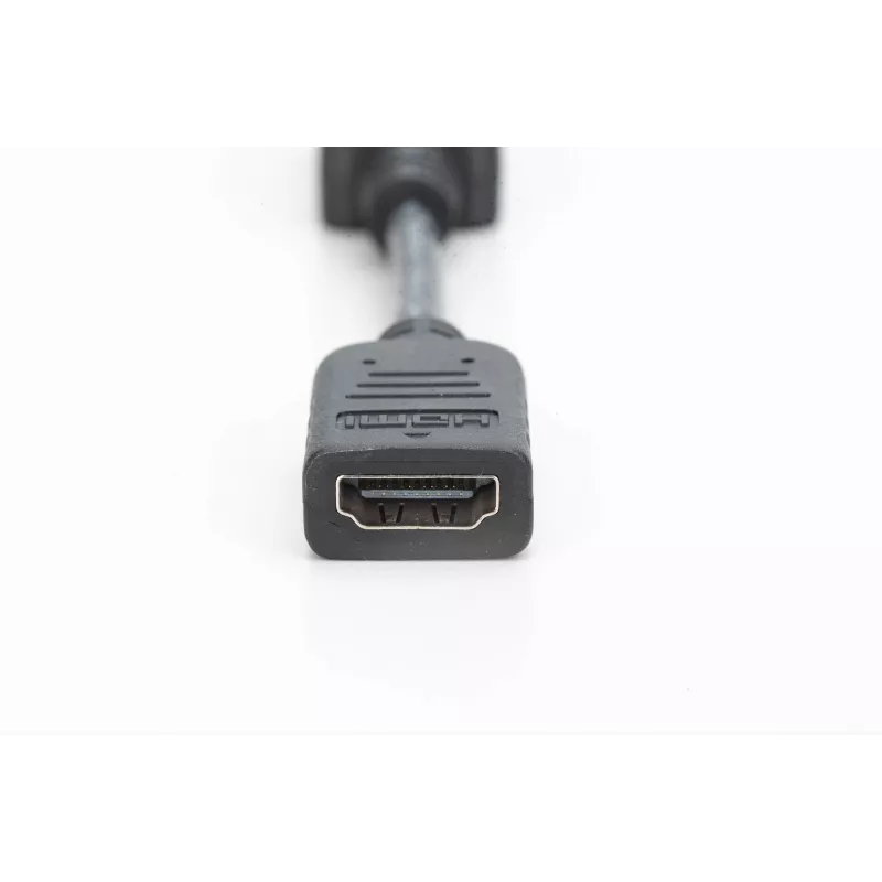 Digitus DisplayPort Adapter / Konverter