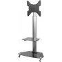TV seinakinnitus SpeaKa Professional SP-TVRW-01 55-tollistele teleritele, VESA 400x400 mm