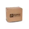 Zebra P1046696-099 prindipea
