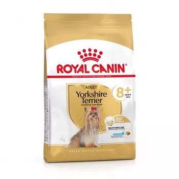 Kuiv koeratoit Royal Canin Yorkshire Terrier 8+ 1,5 kg — linnuliha, seeniorväikest tõugu, 29% valku, 18% rasva
