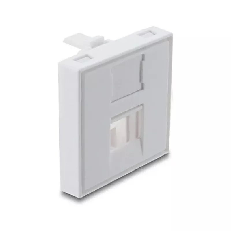 Snap-in 45×45 mm Keystone'i mooduli kate DELOCK Easy 45 1 pordile, ABS, valge, tolmukorgiga