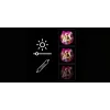 LED-neoonpeeglivalgusti MANTA MASNL130PK Style Neon Lights BEAUTY, roosa aktsent, dekoratiivne peeglivalgustus