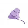 NATEC Crake 2 Pro hiir Universaalne Paremakäeline USB Type-A Optiline 12800 DPI