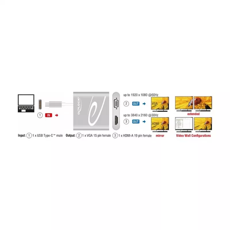USB-graafikaadapter DeLOCK 87705