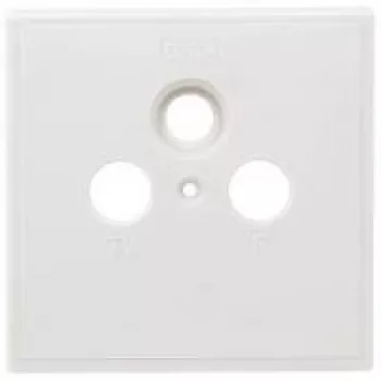 Axing SZU 2-01 pistikupesade katteplaat – mõõtmed 80x80 mm Sobib BSD 963-xx (SZU 2-01)