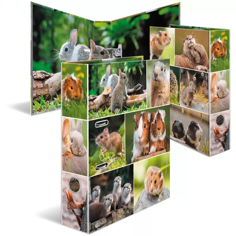 HERMA 19252 ring binder A4 Mitmevärviline D-rõnga Hoiustamine