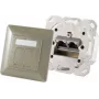 Socket-outlet 2 x RJ-45 ShiverPeaks 74280-GR — Cat6a, 500 MHz, metal housing, hall/silver