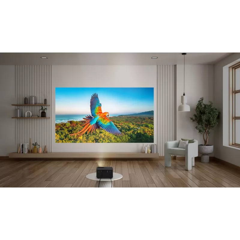 Optoma Photon Life PK32 tavaprojektor 1100 ANSI luumenit DLP UHD 4K (3840x2160) 3D must
