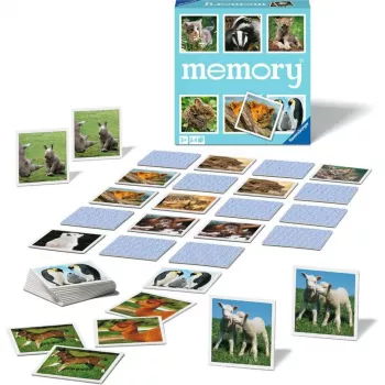memory loomapojad, mälumäng
