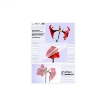 1x25 Olympia lamineerimistaskud DIN A3 80 mikronit 9180