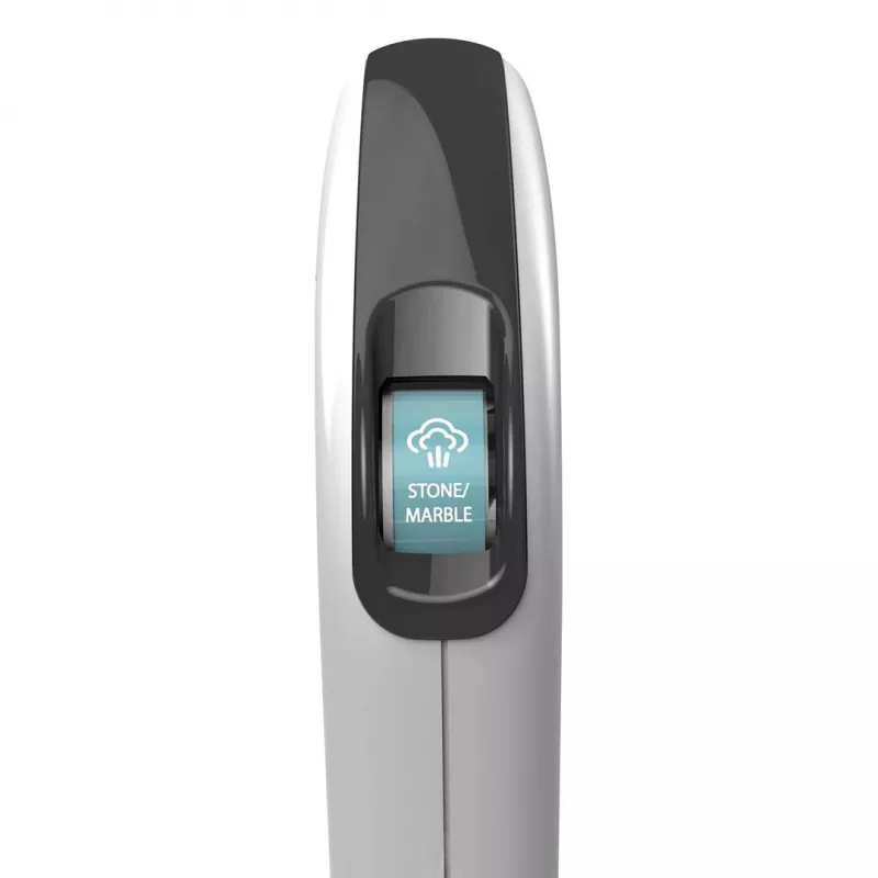 1600W aurumopp, 350ml eemaldatav mahuti, muudetav kogus P