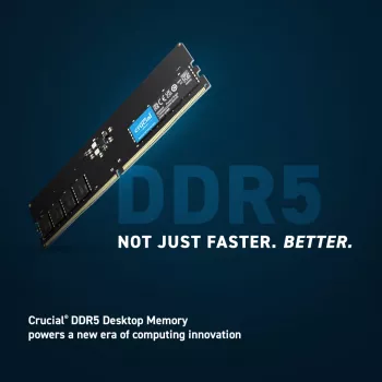 Crucial Pro - DDR5 - Modul - 16 GB - DIMM 288-PIN Low Profile