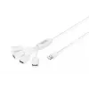 Delock USB-adapter - USB Type A (naissoost) kuni 24-kontaktiline USB-C (meessoost)