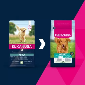 Kuiv koeratoit EUKANUBA Adult Large Breed Lamb & Rice 12 kg – täisväärtuslik kuivsööt suurt ja hiiglaslikku tõugu täiskasvanud koertele