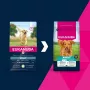Kuiv koeratoit EUKANUBA Adult Large Breed Lamb & Rice 12 kg – täisväärtuslik kuivsööt suurt ja hiiglaslikku tõugu täiskasvanud koertele