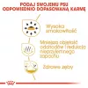 Kuiv koeratoit Royal Canin Chihuahua Adult 1.5 kg — kana, 28% valku, väga väikese tõu koertele