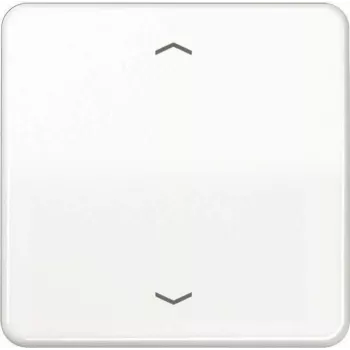 JUNG CD 1700 P WW juhtnupp standardsete noolesümbolitega CD1700PWW