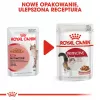 Märg kassitoit Royal Canin Instinctive 12 x 85 g — linnuliha, täiskasvanud, kuseteede tervise toetus