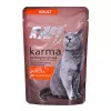 RAFI Cat Adult pardiga - märg kassitoit - 100g