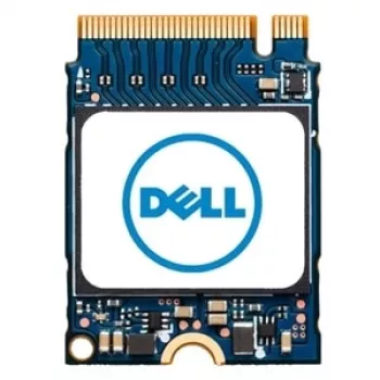 DELL AB292880 sisemine pooljuhtketas 256 GB M.2 PCI Express NVMe