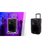 Kaasaskantav karaokekõlar MANTA SPK5021PRO 20W, 12-tolline bassikõlar, 80W RMS, Bluetooth, aku kuni 5h, SD/USB, mikrofoni- ja kitarrisisendid