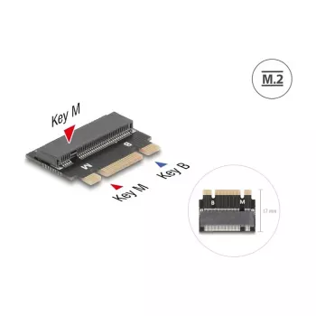 DeLOCK 64342 sisemine M.2 adapter hostiliidesega M.2 isane must