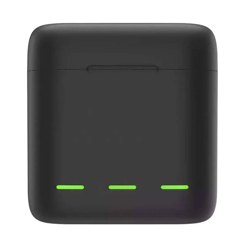 Laadija Telesin GP-BNC-901 GoPro Hero 9/10 jaoks — kahe akuga laadija